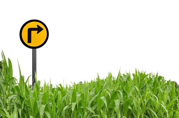 Grass and traffic logo as white isolate background — Stock Photo, Image