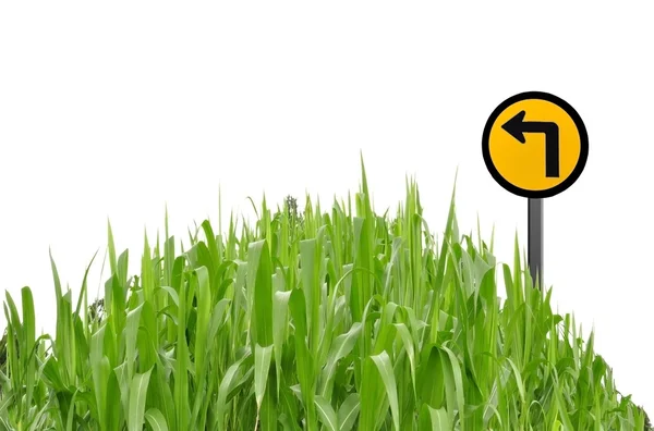 Зеленая трава и дорожный знак в качестве белого изолированного фона — стоковое фото