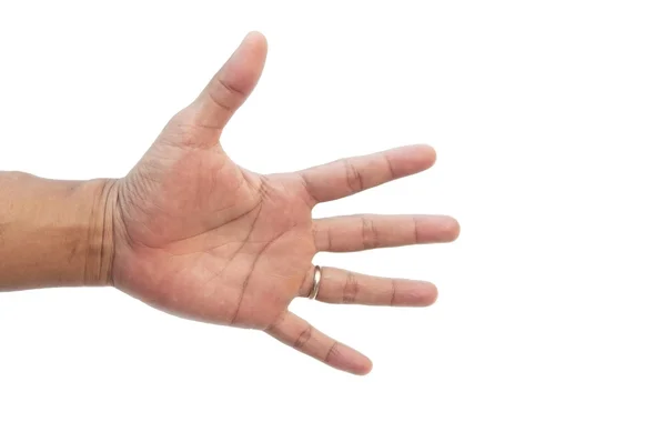 Hand som vita bakgrund 4 — Stockfoto