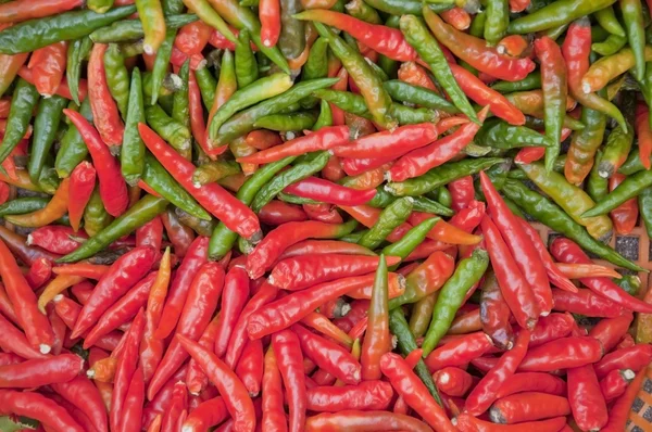 Red and green color chili — Stock Photo, Image