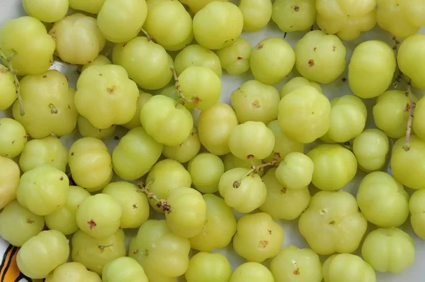 스타 구스베리 과일 — 스톡 사진