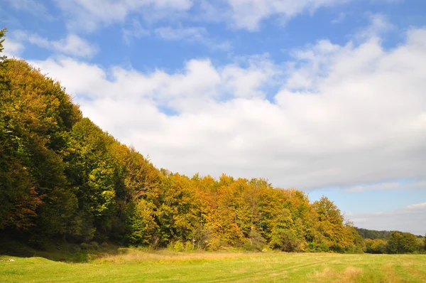 Kanten av höstens trä. — Stockfoto