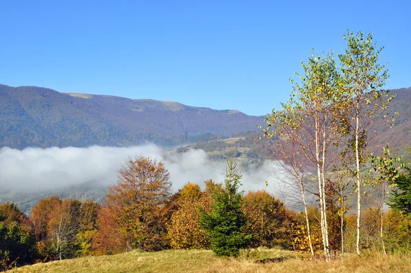 Herbst in den Bergen. — Stockfoto
