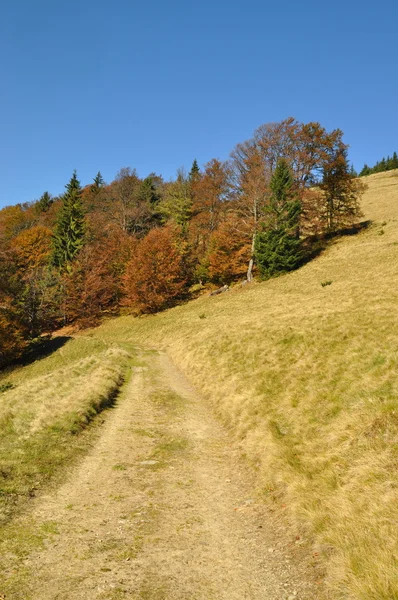 Почвенная дорога на склоне холма — стоковое фото