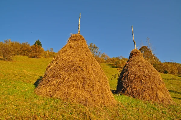 Haystacks en una ladera . — Foto de Stock