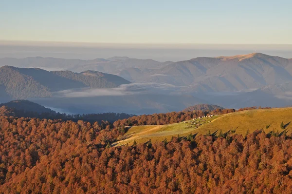 stock image Autumn morning in mountains.