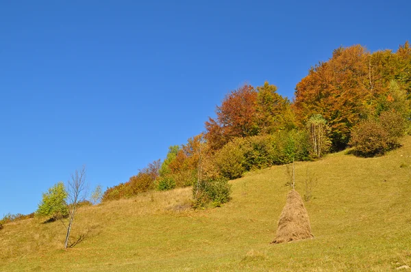 Heuhaufen am Herbsthang. — Stockfoto