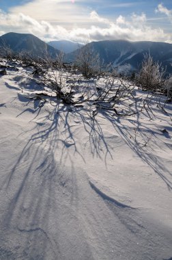 dağlarda kış.