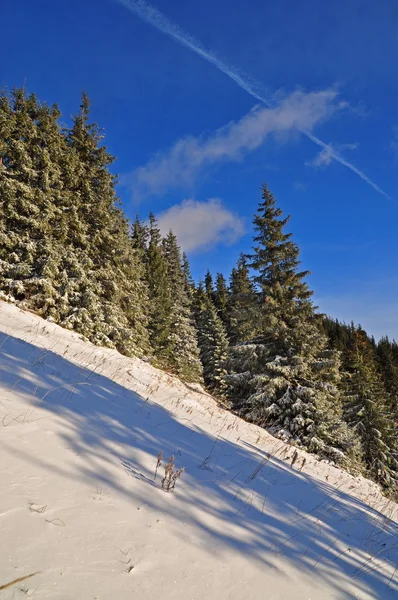 Winter heuvel. — Stockfoto