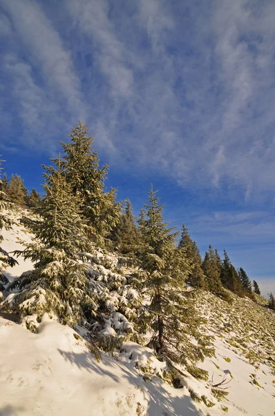 Winter stone hillside. — Stock Photo, Image