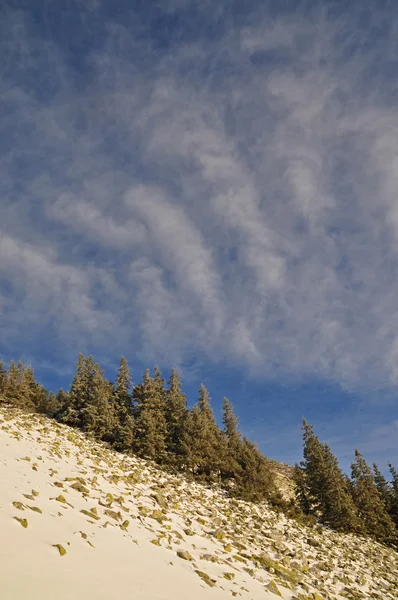 Stock image Winter stone hillside.