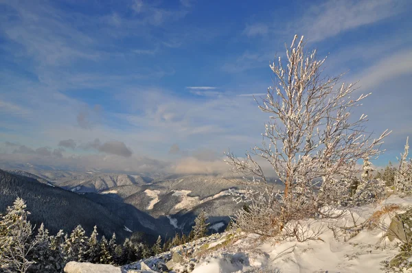 겨울 언덕에 — 스톡 사진