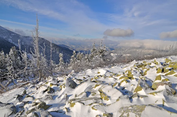 Winter stone hillside — Stock Photo, Image
