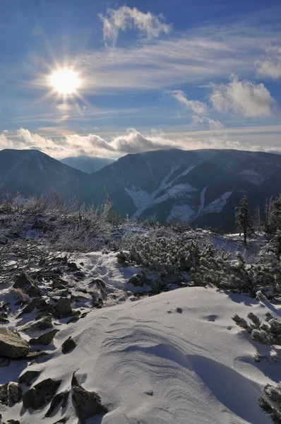 Inverno in montagna . — Foto Stock