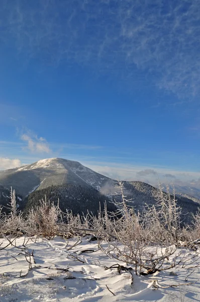 Tél a hegyekben. — Stock Fotó