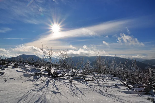 Vinter i bergen. — Stockfoto