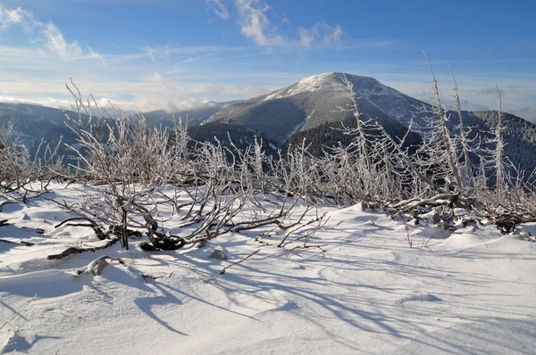 山の冬. — ストック写真