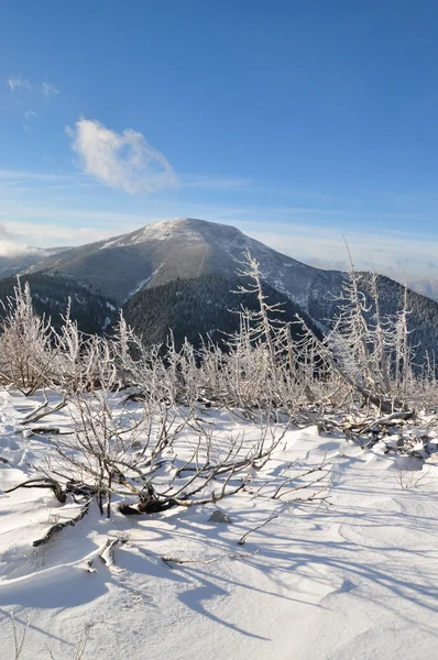 Zima v horách. — Stock fotografie