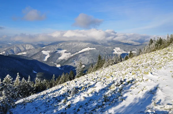 Кам'яні hillside зимові — стокове фото