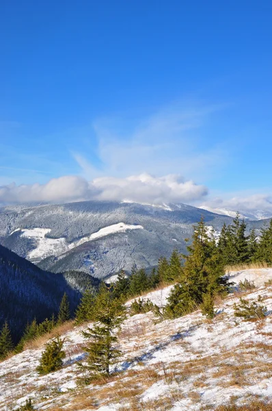 Winter hillside. — Stock Photo, Image
