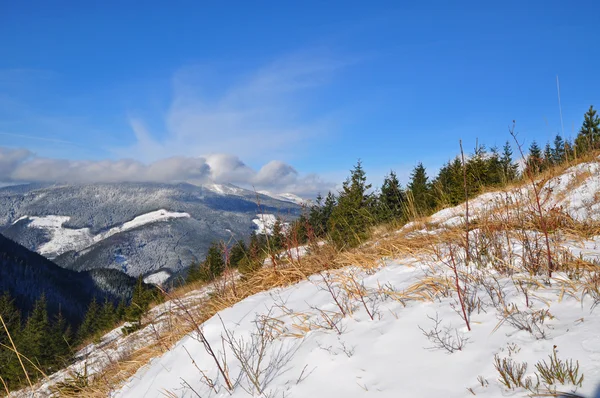 겨울 언덕. — 스톡 사진