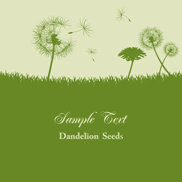 Dandelion seeds background — Stock Vector