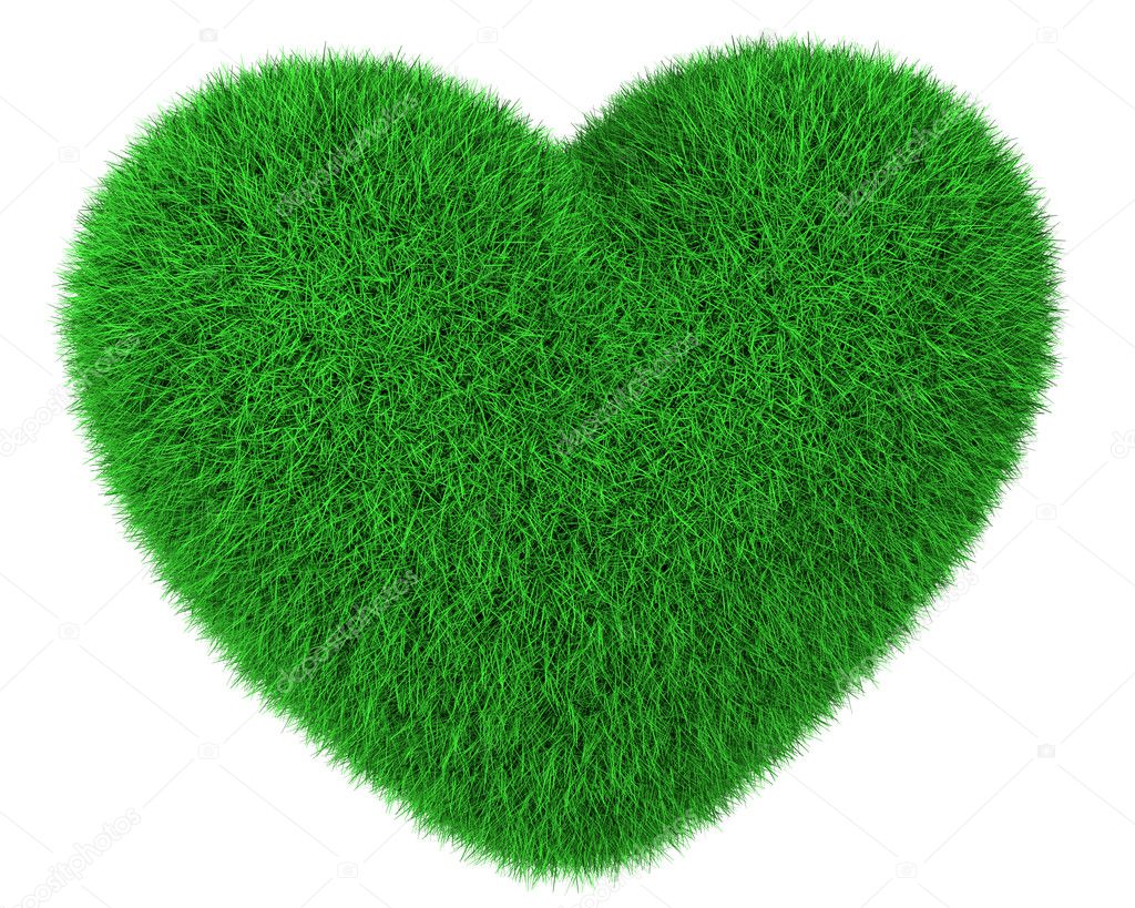 Heart made of green grass isolated