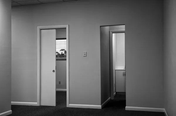 两扇门 — 图库照片