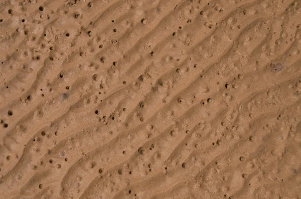 stock image Rippled Seabed