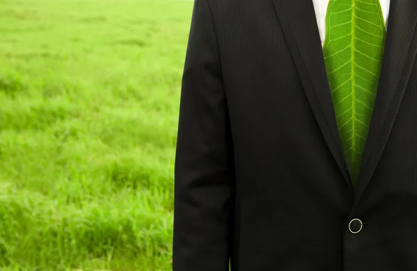 Businessman with green leaf tie — Stock Photo, Image