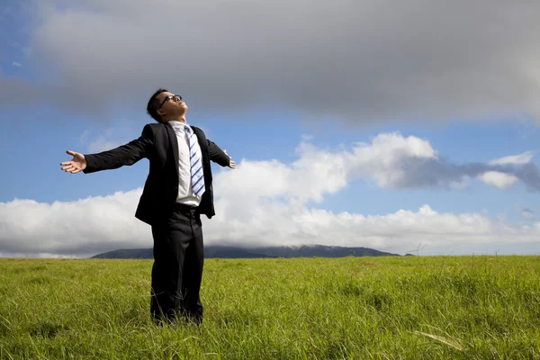Relaxamento homem de negócios em pé no prado — Fotografia de Stock