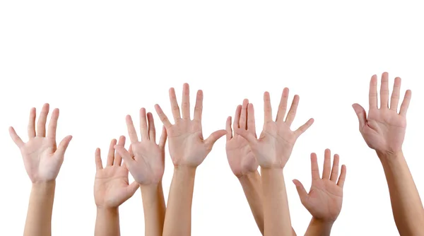 Todos Levantam Mãos Isolado Com Fundo Branco — Fotografia de Stock