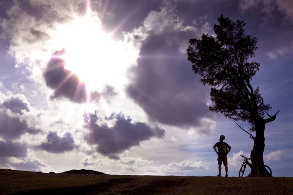 Bisiklet binici güneş ışığını izlerken tepede durmak ve rahatlayın — Stok fotoğraf