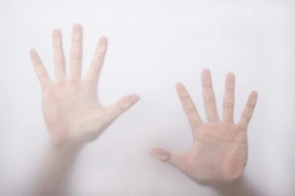 stock image Palm on the glass