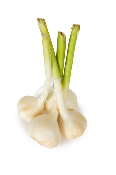 Bunch garlic — Stock Photo, Image