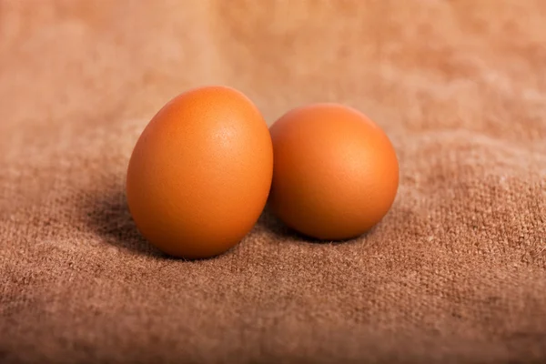 Ovos Isolados Sobre Fundo Branco — Fotografia de Stock