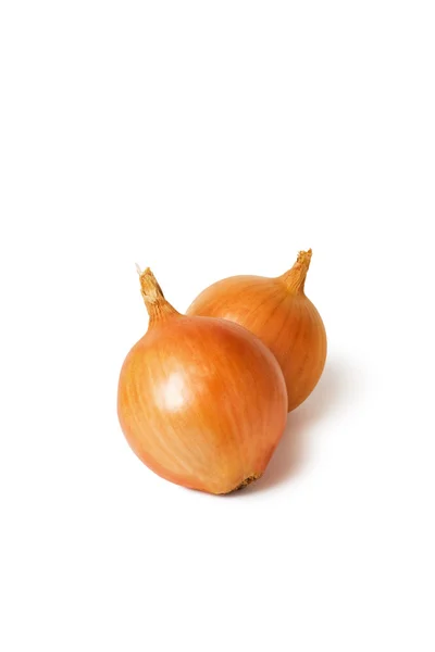 Fresh onions — Stock Photo, Image
