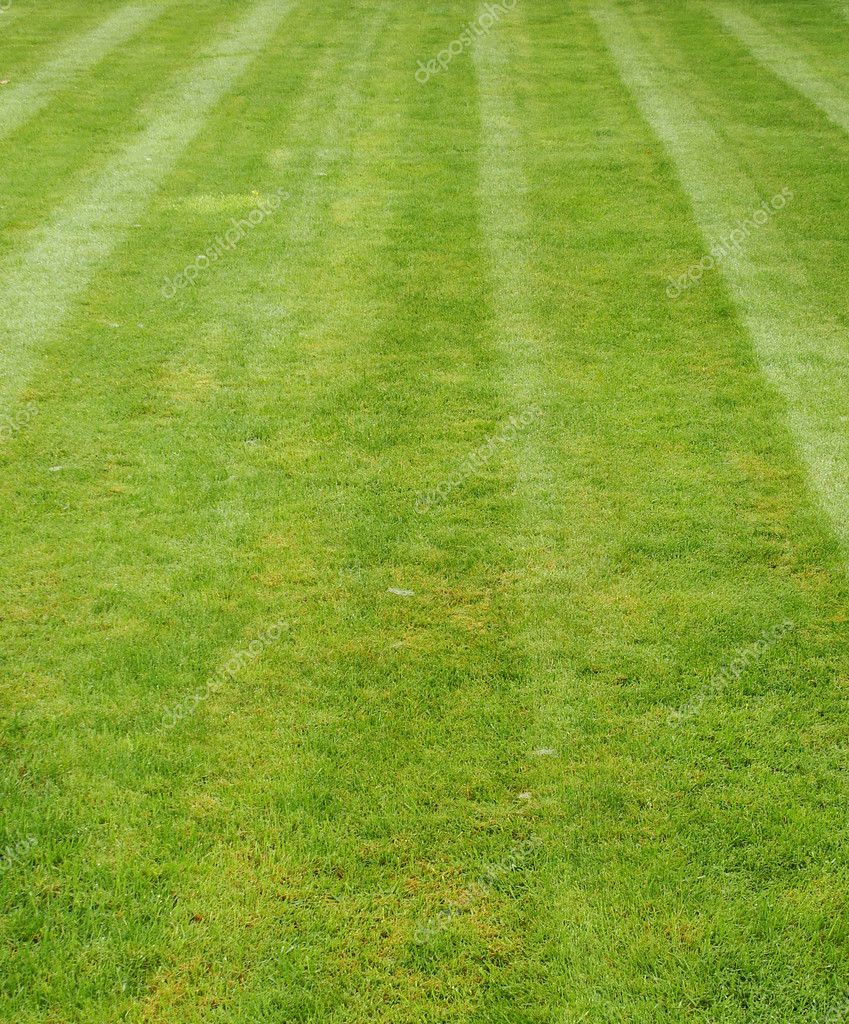 Freshly mown grass showing stripes — Stock Photo © johnjohnson #3977151