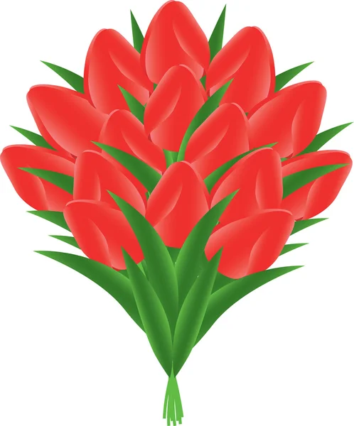 Букет з тюльпанів — стоковий вектор