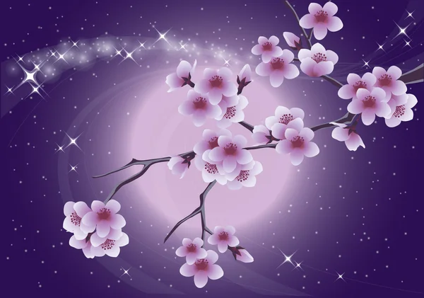 Sakura and moon, spring card. vector illustration — Stock Vector