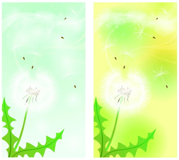 Spring banner. Dandelion seeds being blown in the wind. vector — Stock Vector