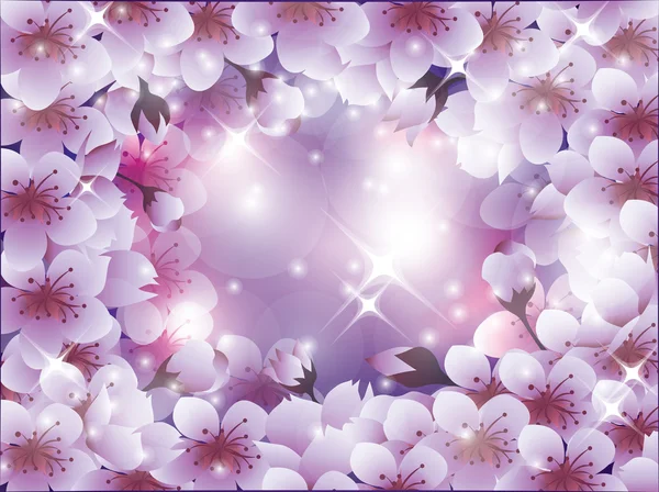 Fundo bonito com flor de sakura, ilustração vetorial — Vetor de Stock