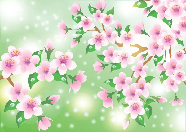 Sakura çiçekli bahar kartı. vektör çizim — Stok Vektör