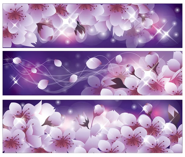 Bandeiras de primavera com flores Sakura. ilustração vetorial — Vetor de Stock