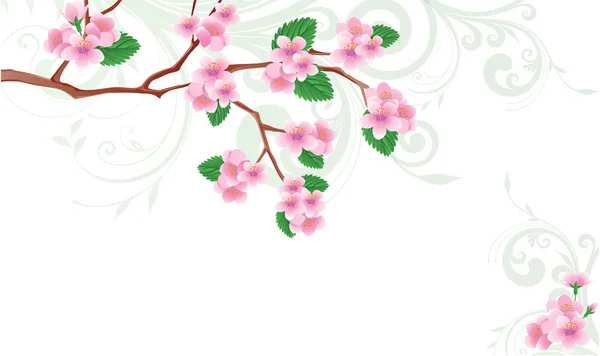 Karta wiosną kwitnące sakura. Ilustracja wektorowa — Wektor stockowy