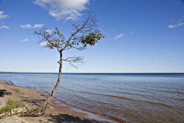 Baltic sea landscape. clipart