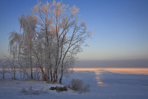 Baltic seacoast in winter. — Stock Photo, Image