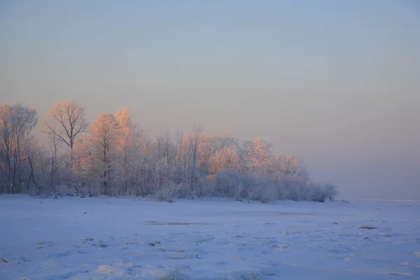 Балтийское побережье зимой . — стоковое фото