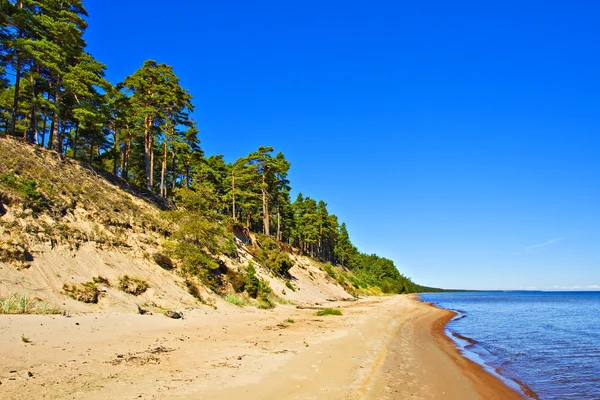 Mar Baltico paesaggio . — Foto Stock
