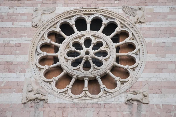 Rose window. St. Feliciano Cathedral. Foligno. Umbria. — Stock Photo, Image